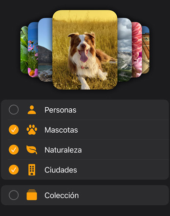Varias esferas Fotos del Apple Watch apiladas encima de un menú para filtrar imágenes