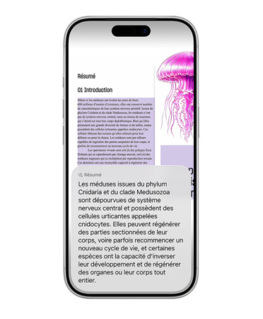 iPhone montrant un agencement d’images présentant différentes lampes champignon sur Etsy, à c?té d’onglets Google et Pinterest