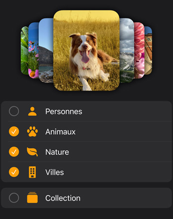 Plusieurs photos sur des cadrans d’Apple Watch sont empilées au-dessus d’un menu de filtres