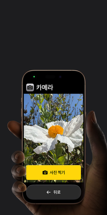 ???? ??? ? ?????? ??? ?? ???? ??? ? ? ??? ?? ?? ?? ??? ?? ??? ??? iPhone 16 Pro ?? 