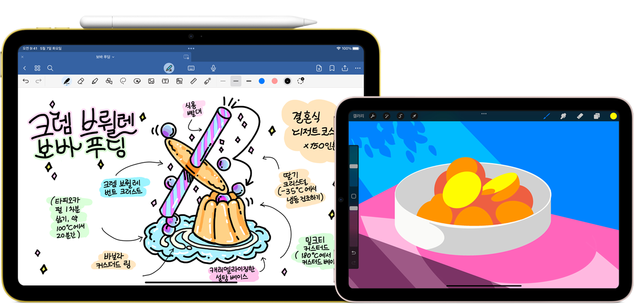 ??? iPad 10??? ?? ???? ?? ????. ???? ??? ???? ??? ?? ???? ???? ??, ???? Apple Pencil USB-C? ???? ????. ????? ?? ???? ?? iPad mini? ????. ??? ProCreate? ??? ???? ???????? ?? ????.