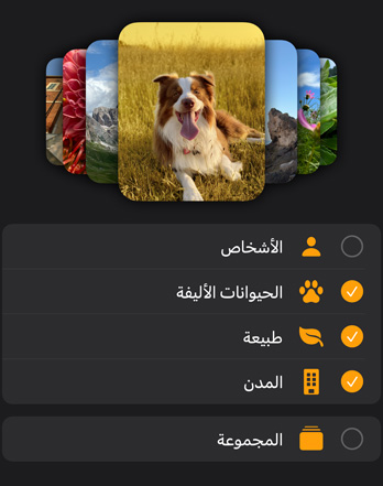 ?????? ?? ?????? ??? Apple?Watch ????? ??? ????? ?????
