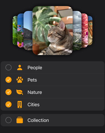 Several Apple Watch photo faces are stacked above a filter menu