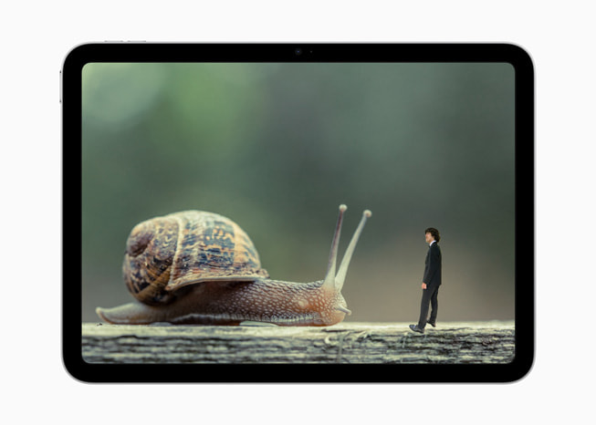iPad’de Foto?raf: ??kartma Kolaj? Olu?turun ba?l?kl? Kreatif Etkinlik g?steriliyor.