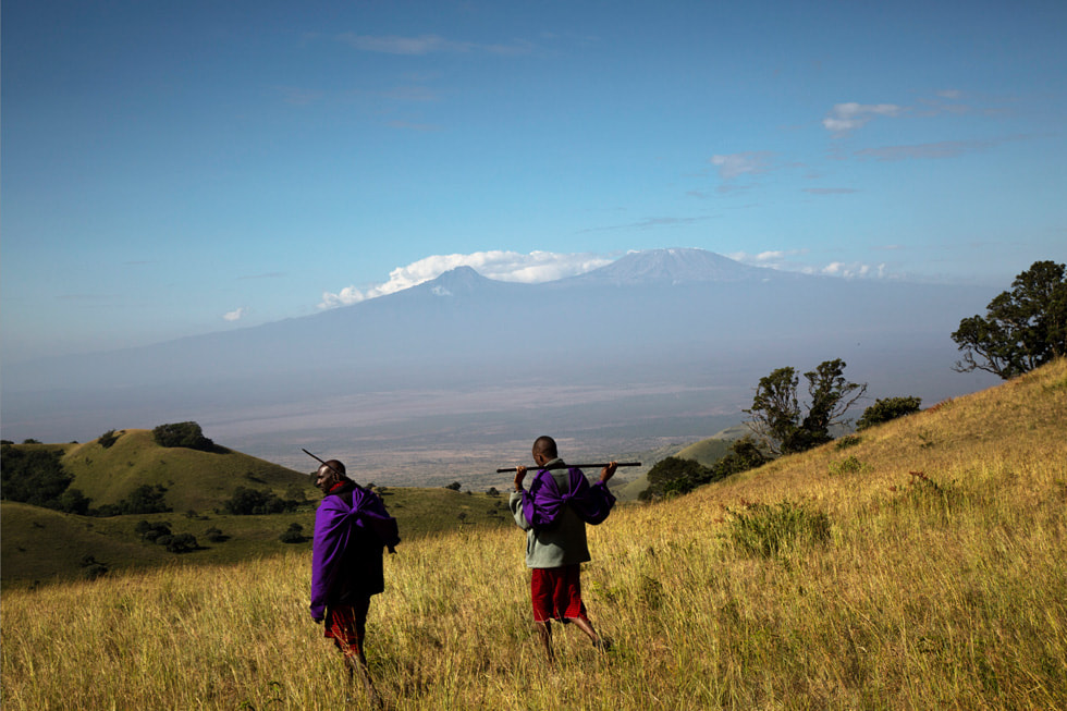 Massai-B?uer:innen auf dem Weg durch das Weideland der Chyulu Hills, Kenia, mit dem Kilimandscharo im Hintergrund.
