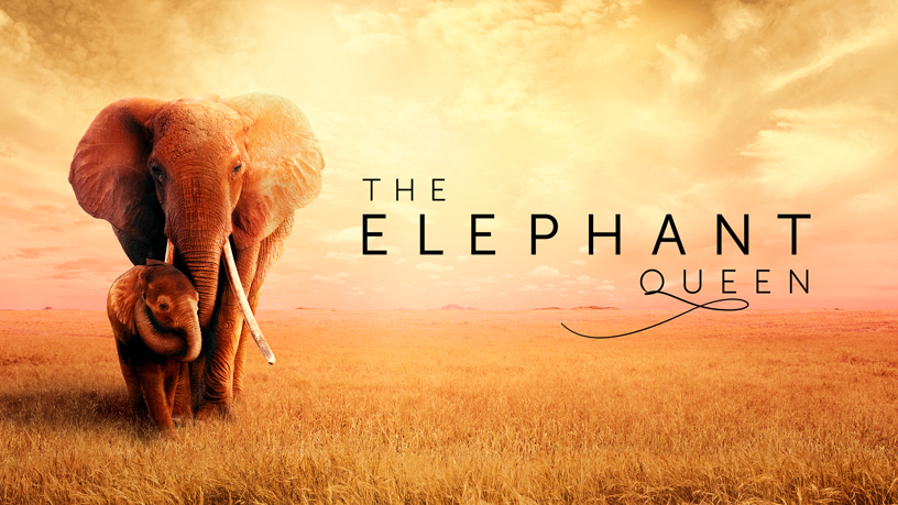 Apple TV+’taki “The Elephant Queen” ba?l?k ekran?.