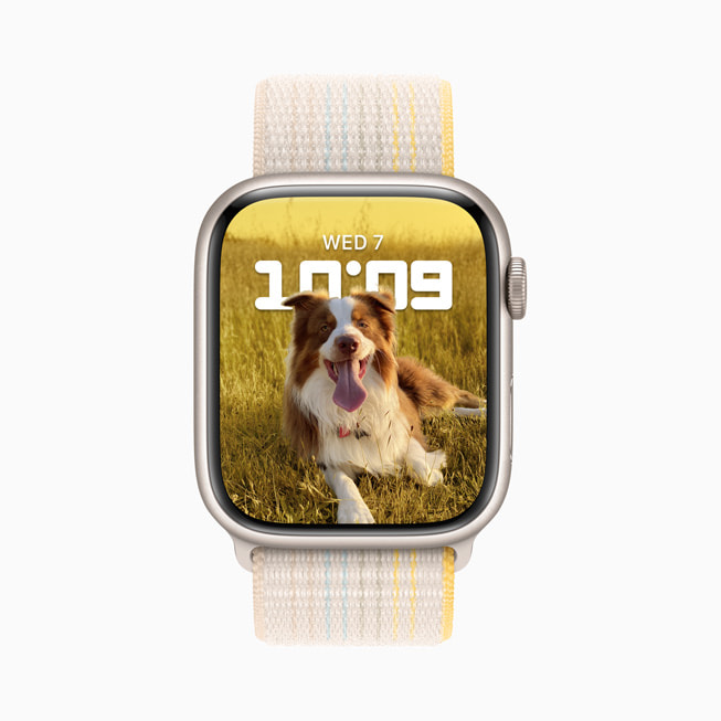 Apple Watch Series 8’de bir k?pek foto?raf?yla Portreler kadran? g?steriliyor.