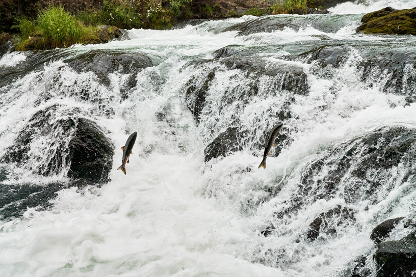 ??? ? ??(Russian River Falls)? ?? ????.