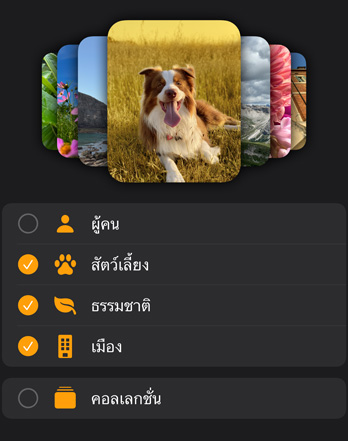 ???????????????? Apple Watch ???????????????????????????????????????