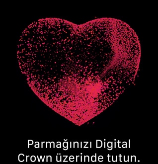 EKG ?eken bir Apple?Watch Ultra 2.
