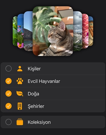 Birka? Apple Watch foto?raf kadran? bir filtre menüsünün üzerinde y???n g?rünümünde g?steriliyor