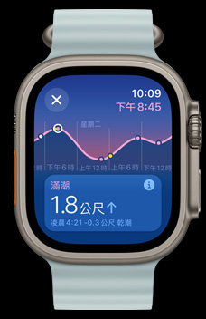 潮汐 app 顯示漲潮、退潮、滿潮和乾潮資訊。