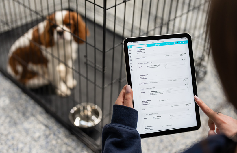 iPad lets pet handlers update pet conditions such as food and medication intake in real time using Gingr, a pet business management app.