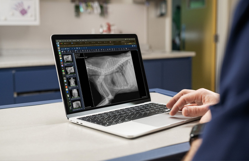 Detaillierte R?ntgenbilder und Ultraschallscans werden live auf dem MacBook Air angezeigt.