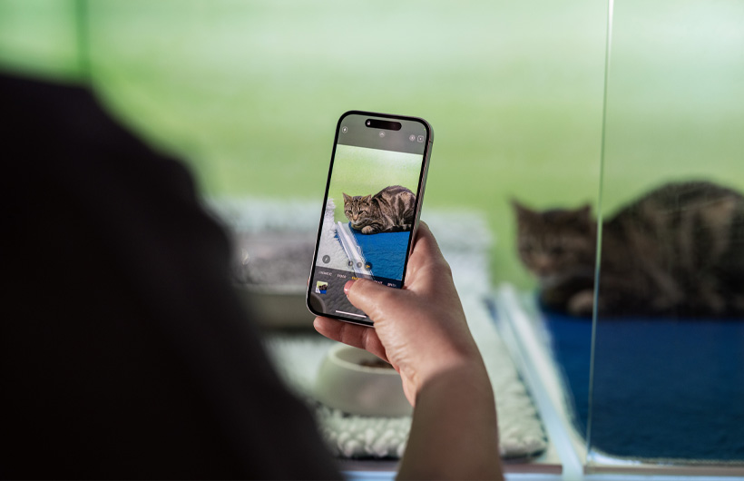 Die Pflegekr?fte versenden mit dem iPhone regelm??ig aktuelle Fotos der Haustiere, um die Besitzer:innen zus?tzlich zu beruhigen.