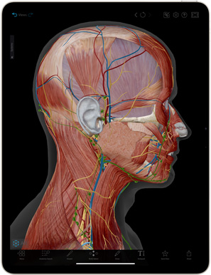 L’App Complete Anatomy affichée sur un iPad Air