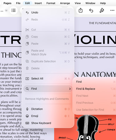 Close up of menu bar with options for Undo, Redo, Cut, Copy, Paste, and more