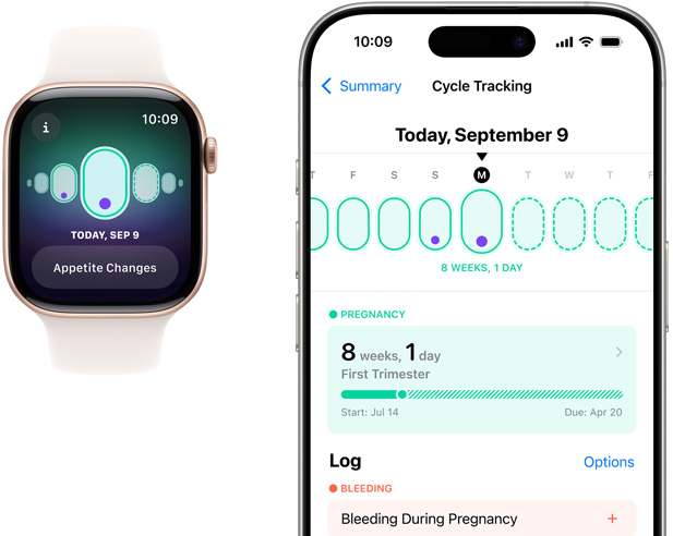 En Apple Watch-sk?rm som visar sp?rning av en graviditet med symtomet aptitf?r?ndringar. En iPhone-sk?rm som visar antal graviditetsveckor och graviditetssp?rning i appen Cykelkoll.
