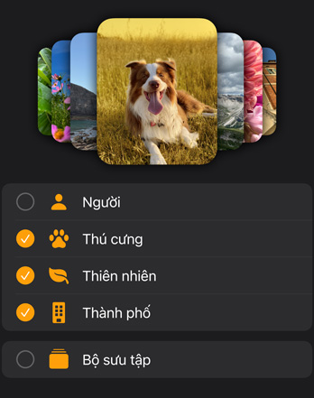 M?t vài m?t ??ng h? ?nh Apple Watch ???c x?p ch?ng lên m?t menu l?c